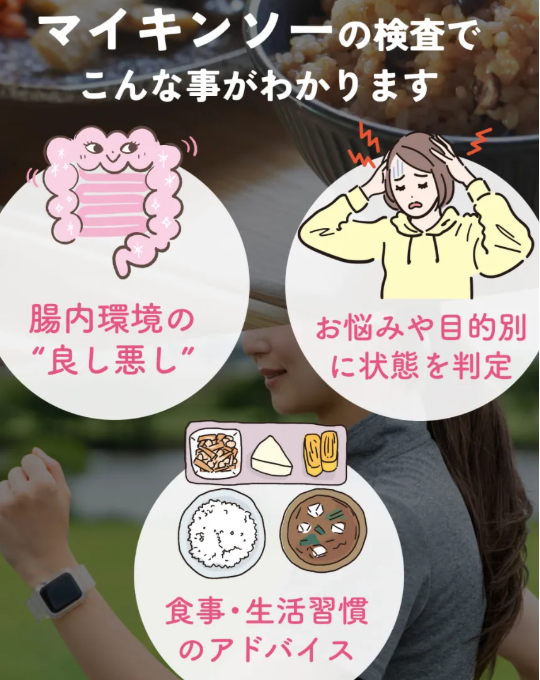 マイキンソー